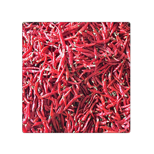 Whole Dried Indian Red Teja S17 Chilli Stemcut - 6 to 8 cm Length, Bright Red Color | Top Grade, Spicy Flavor, Long Shelf Life