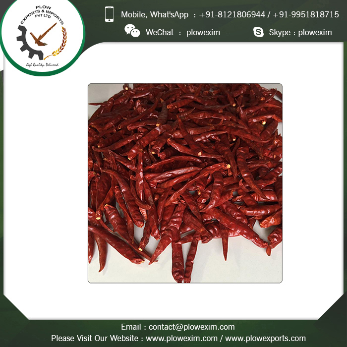 Whole Dried Indian Red Teja S17 Chilli Stemcut - 6 To 8 Cm Length, Bright Red Color | Top Grade, Spicy Flavor, Long Shelf Life