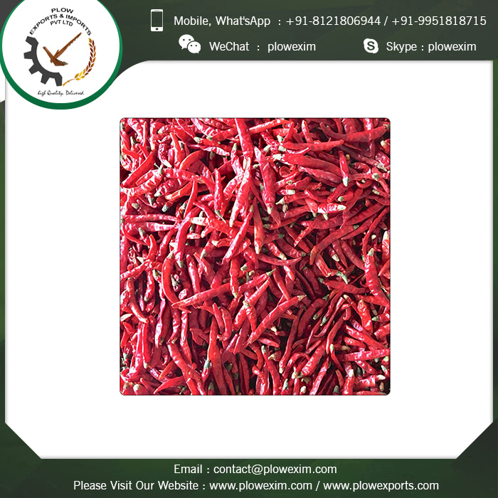 Assured Top Quality Stemcut Dried Teja S17 Chilli Shelf Life: 24 Months