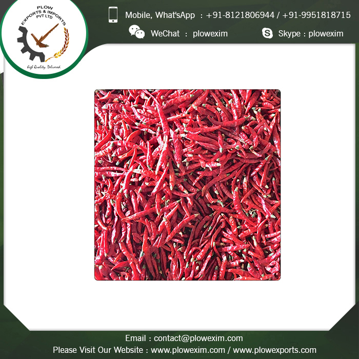 Assured Top Quality Stemcut Dried Teja S17 Chilli Shelf Life: 24 Months