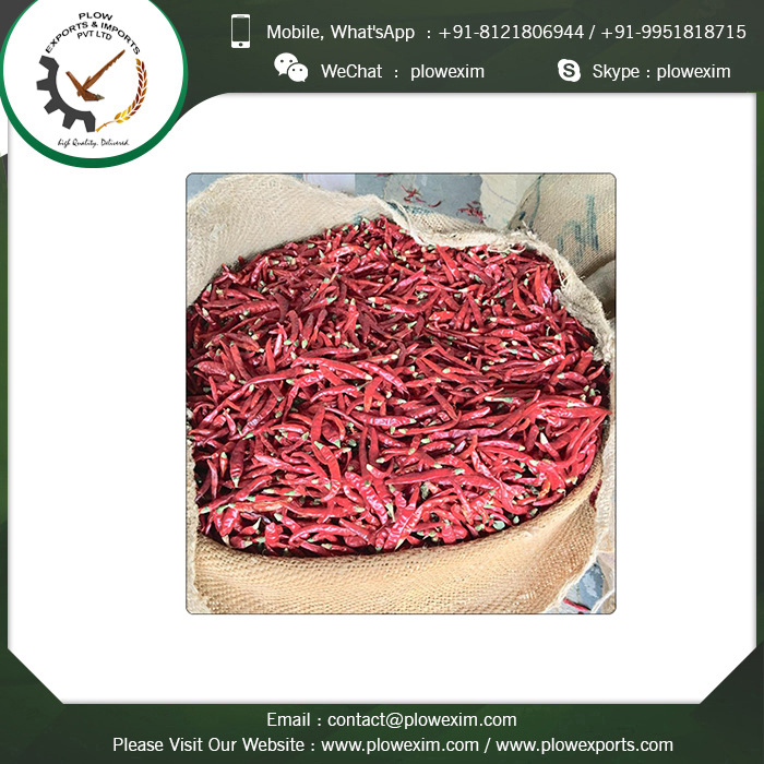 Assured Top Quality Stemcut Dried Teja S17 Chilli Shelf Life: 24 Months