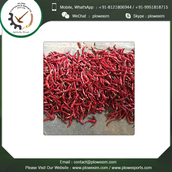 High Quality Stemcut Red Chilli S17 - 6 To 8 Cm Length, Bright Red Color | Top Grade, Sun Dried, Spicy With Long Shelf Life