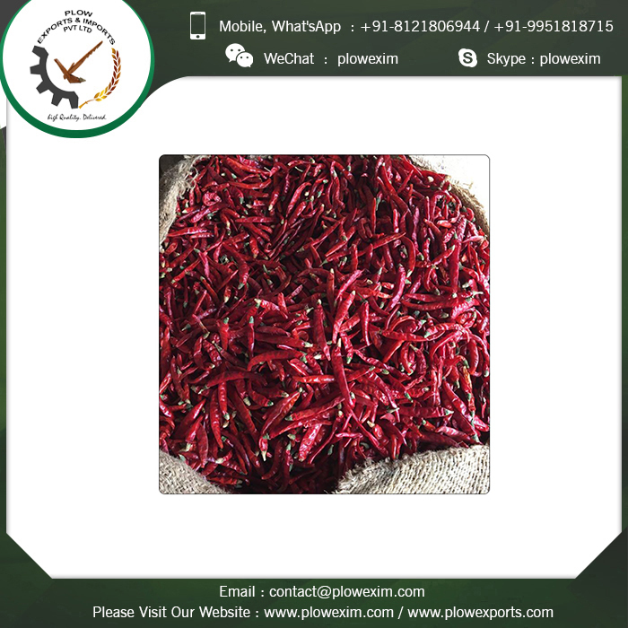 High Quality Stemcut Red Chilli S17 - 6 To 8 Cm Length, Bright Red Color | Top Grade, Sun Dried, Spicy With Long Shelf Life