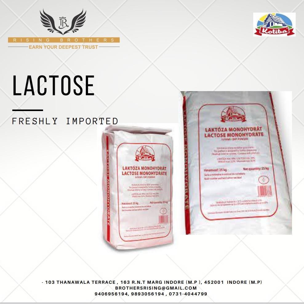 Lactose Powder - 99% Purity, Water Soluble, Odorless Milk-based Filler For Pharmaceutical Applications