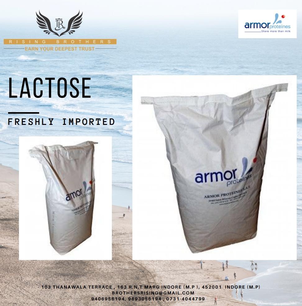 Lactose Powder - 99% Purity, Water Soluble, Odorless Milk-based Filler For Pharmaceutical Applications