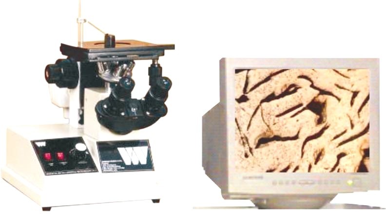 Metallurgical Microscope - Color: As Per Availability