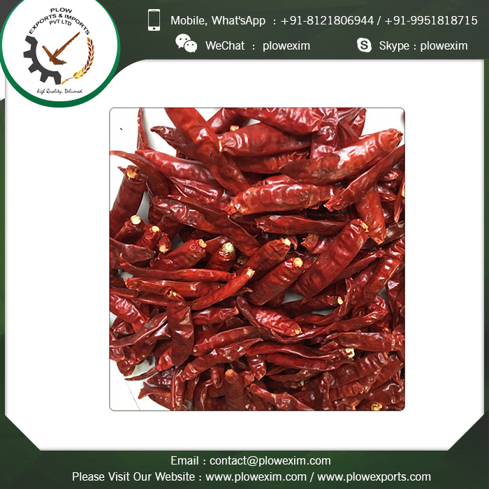 Indian Red Dry Stemcut Sannam Chilli 334 Grade: Top Grade