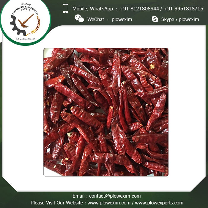 Sannam 334 Stemcut Chilli Grade: Top Grade