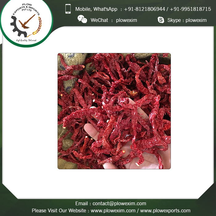 Organic Byadagi Dry Red Chilli - Sun Dried, Bright Red Color, 6-8 Cm Length | Top Grade, Pungency 18000-22000 Shu, Long Shelf Life 24 Months