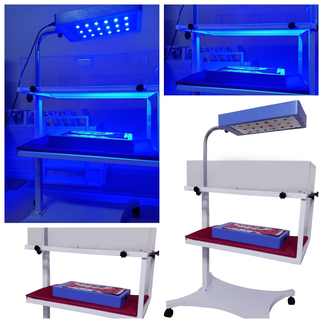 Double Surface Led Stand With Trolley Application: Hospital