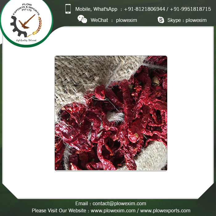 Organic Stemless Byadagi Chilli - 6 To 8 Cm Length, Bright Red Color | Top Grade Dry Red Chilli, Spicy Taste, Long Shelf Life