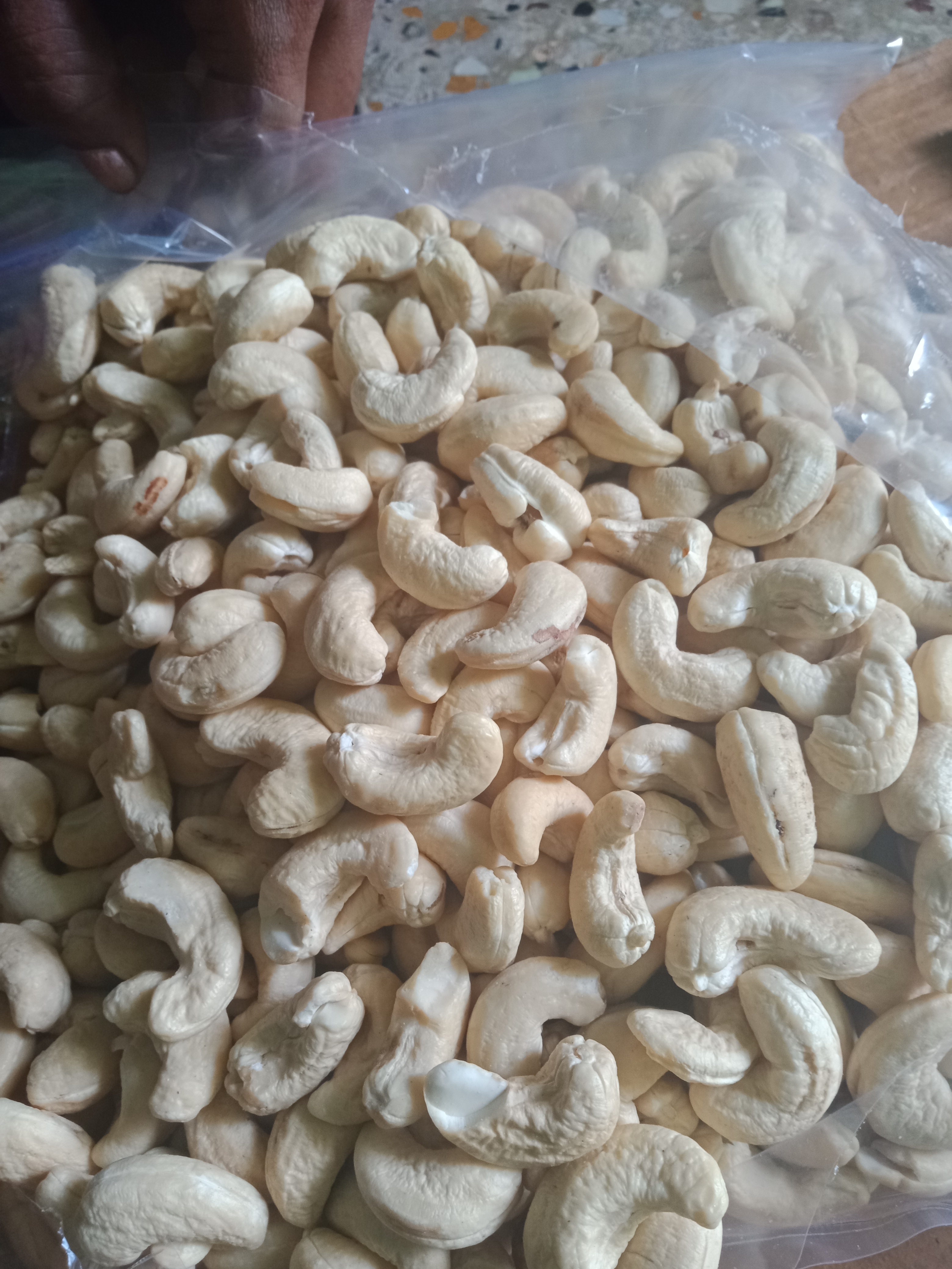 W280 Cashew Nut Shell