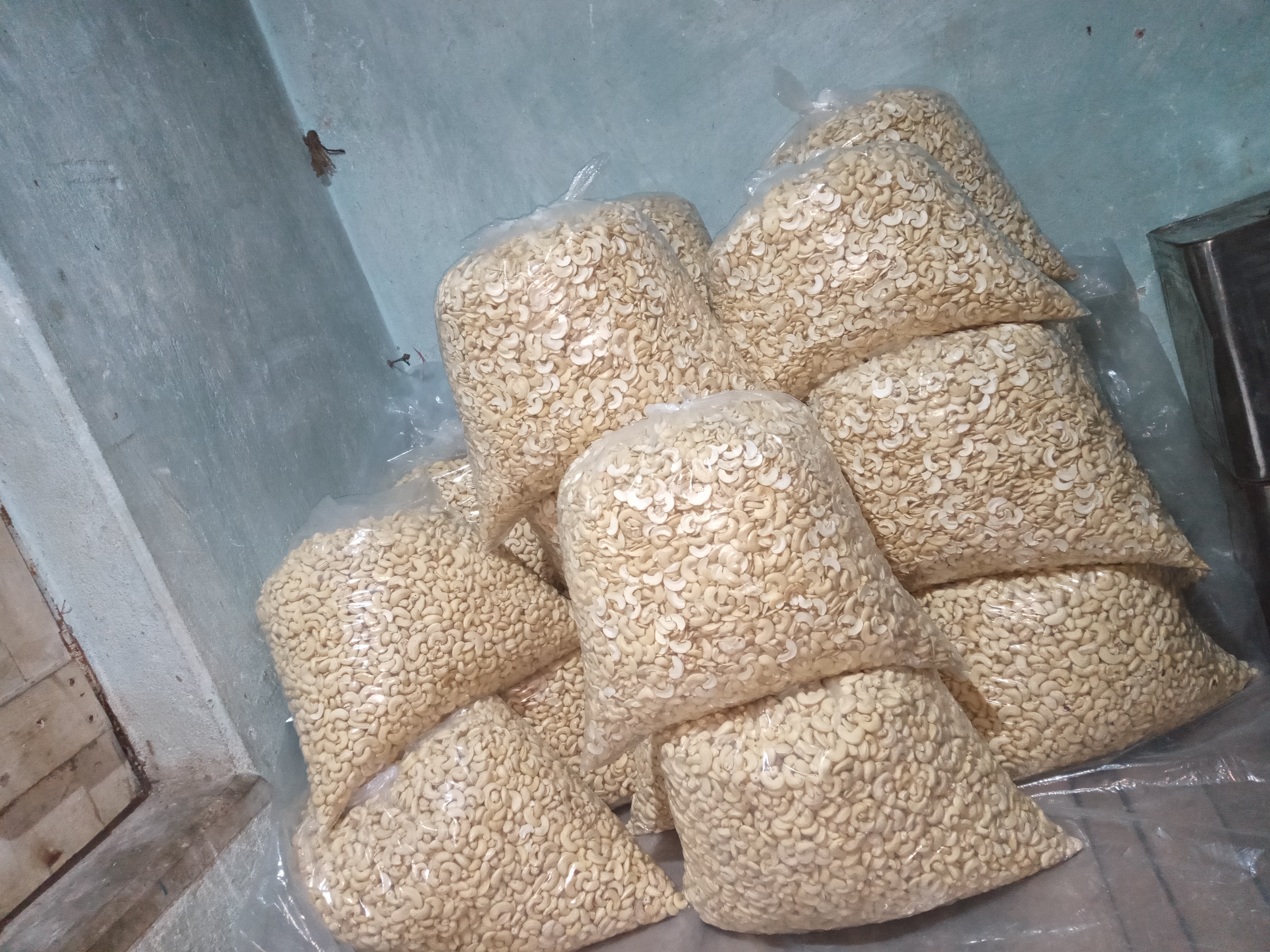 W280 Cashew Nut Shell