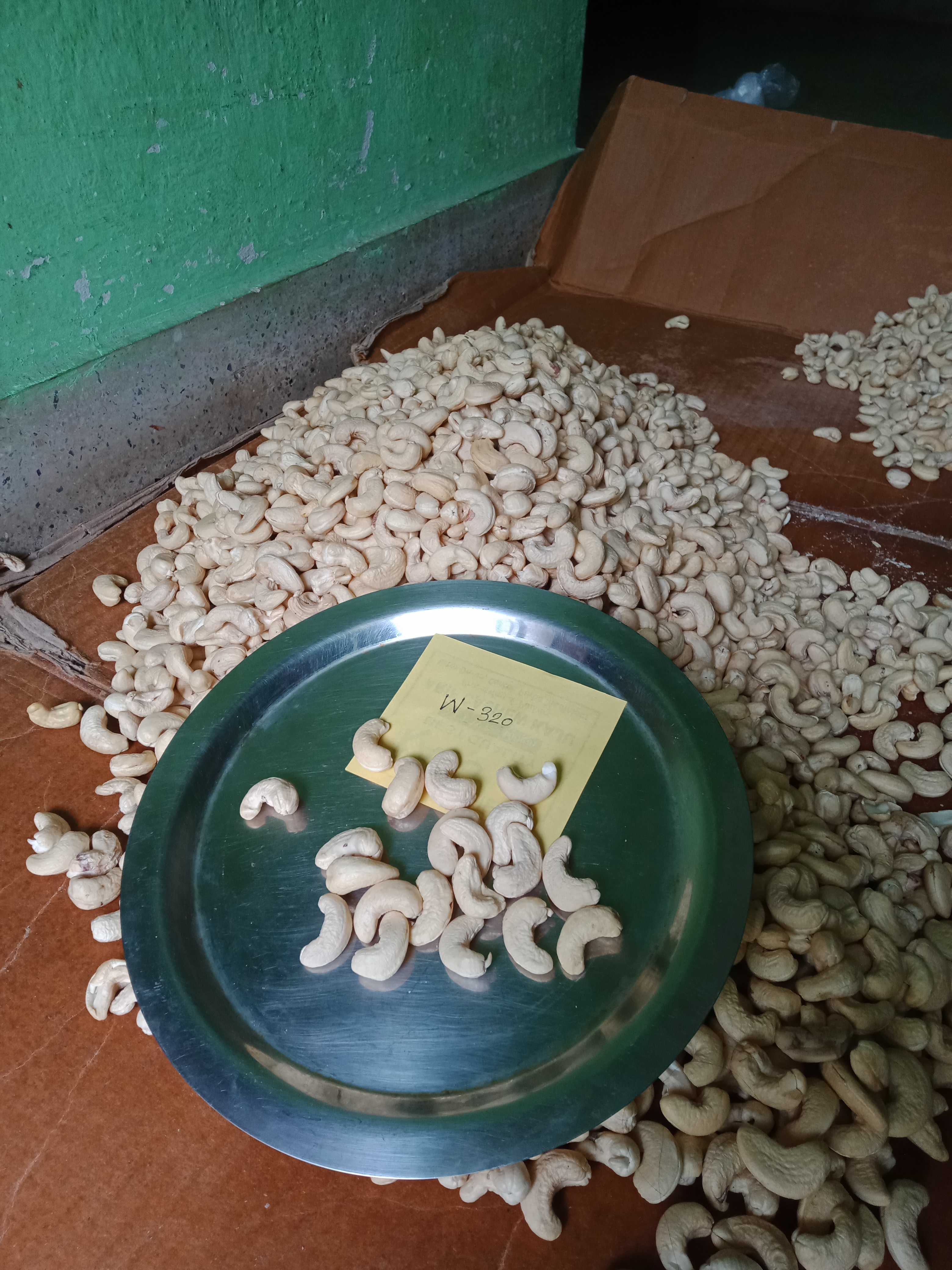 W210 Cashew Nut - Broken (%): 5