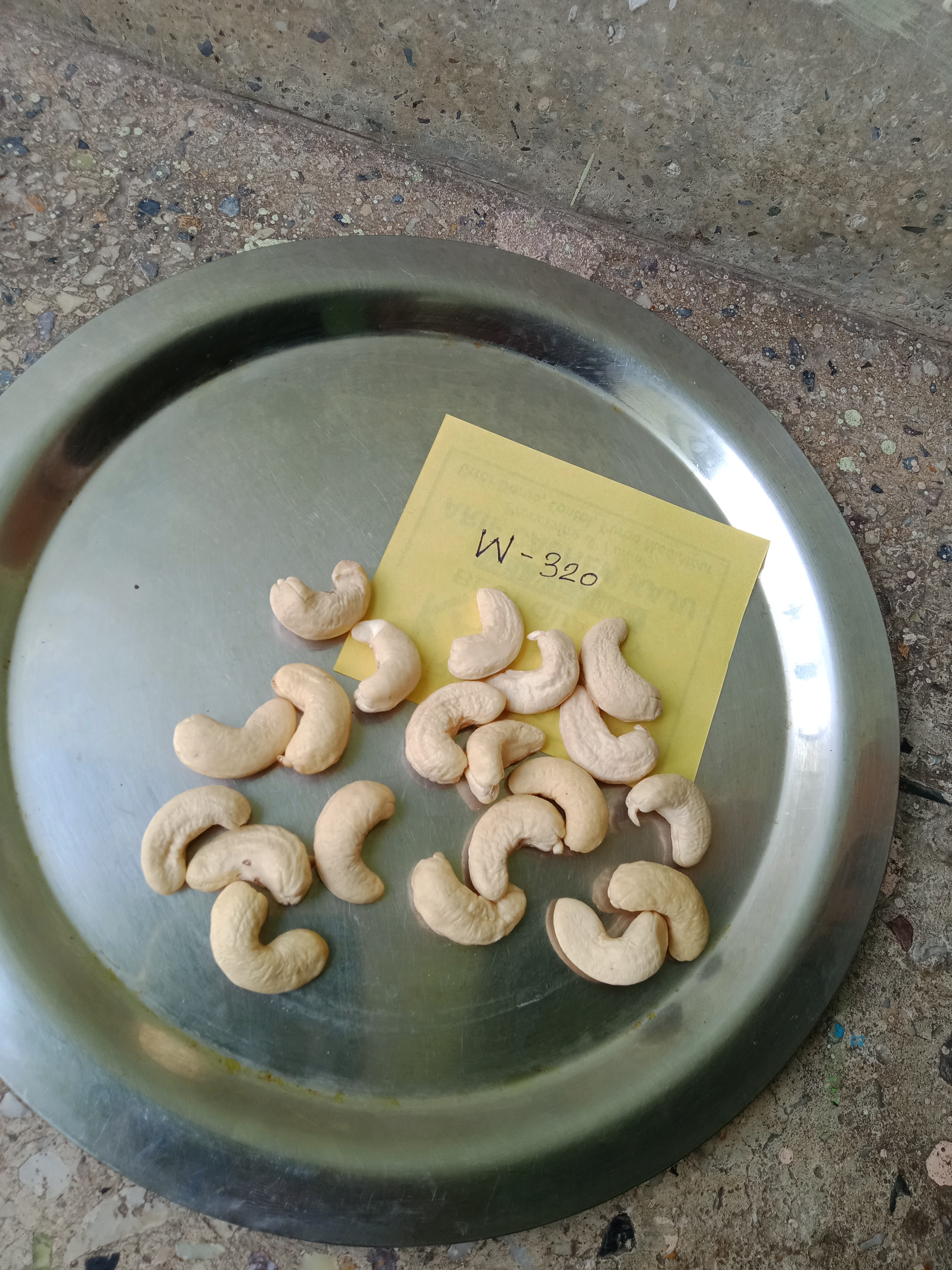 W210 Cashew Nut - Broken (%): 5