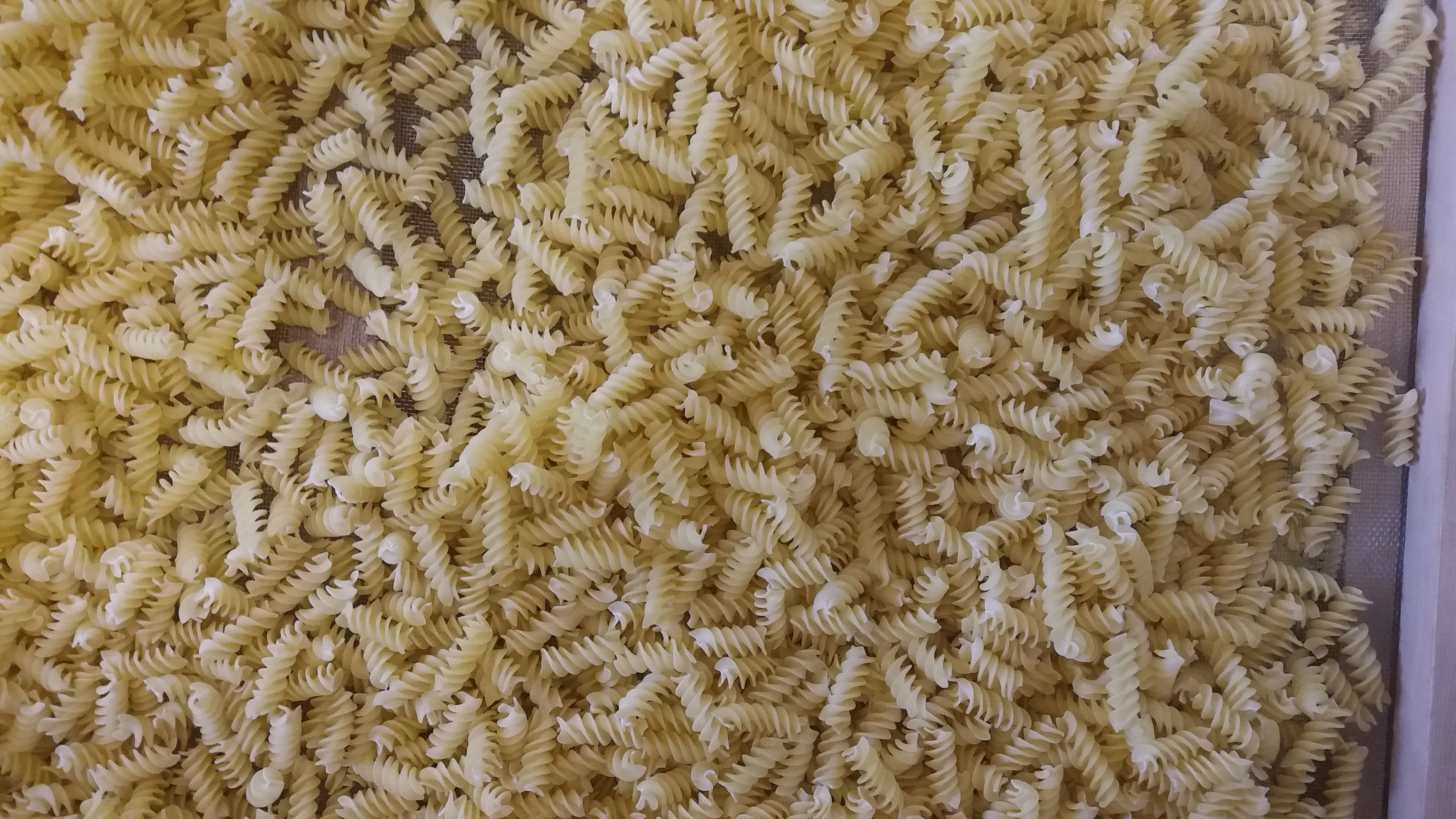 Pasta And Microni Making Machine Capacity: 500 Kg/hr