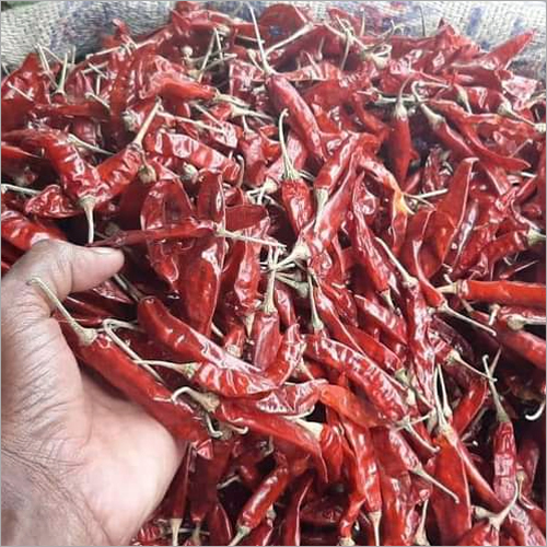 Dry Red Chilli - Raw Powder, Red Color | Spice Grade, Shelf Life 6-8 Months, Spicy Taste, Store in a Dry Place