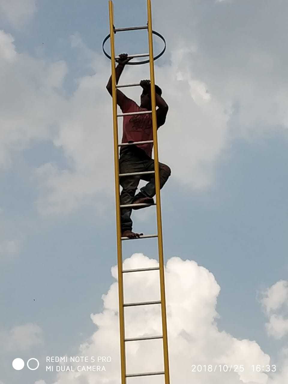 Frp / Grp Self Support Extension Ladder Size: 0-36 Ft