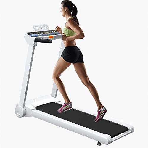 Cenergie Fitness Motorized Treadmill - 1.25 Hp (2.50 Hp Peak), 1080x400mm Running Surface, Noiseless Operation | Lcd Monitor, 12 Pre-set Programs, Foldable Design, 90 Kg User Capacity