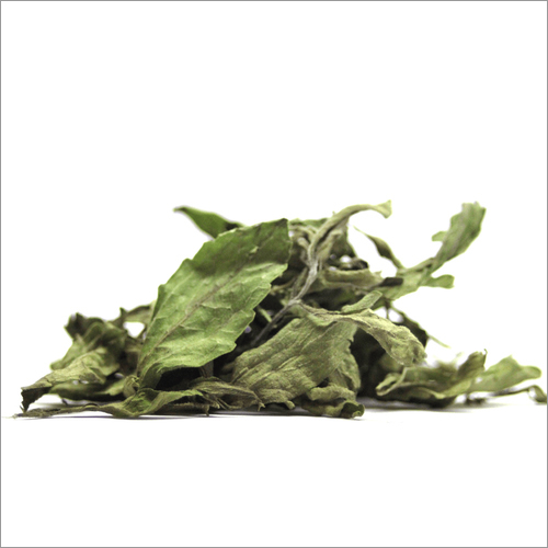 Organic Stevia Leaf