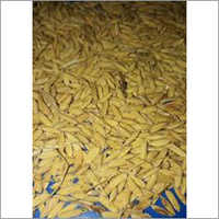 कृषि चावल धान