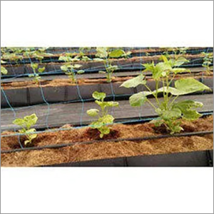 Plant Support Net - Polyethylene, 1.2m Width x 50m Length, Green Color, 1.5x1.5cm Mesh Size, 100kg/cm² Tensile Strength