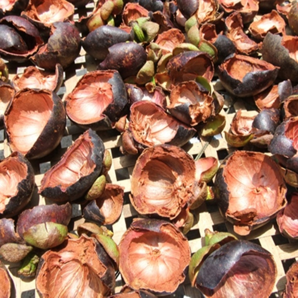 Brown Dried 100% Natural Rind Mangosteen