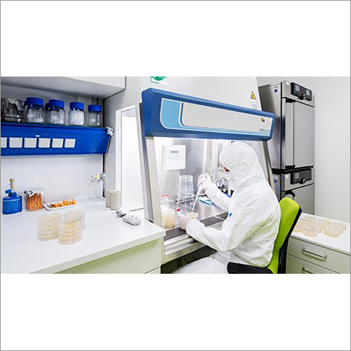 कॉर्डिसेप्स मिलिटेरिस लेबोरेटरी सेटअप