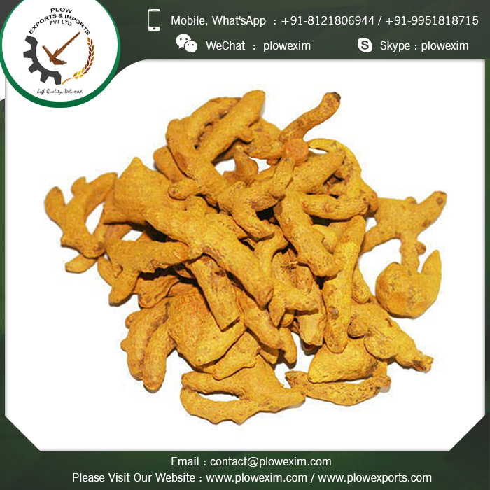 Turmeric Finger Whole - Top Grade Quality Yellow Powder | Natural Anti-inflammatory, Rich In Antioxidants, Sourced From Organic Farmers, 24 Months Shelf Life