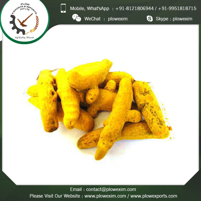 Turmeric Finger Whole - Top Grade Quality Yellow Powder | Natural Anti-inflammatory, Rich In Antioxidants, Sourced From Organic Farmers, 24 Months Shelf Life