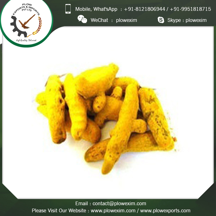 Turmeric Finger Whole - Top Grade Quality Yellow Powder | Natural Anti-inflammatory, Rich In Antioxidants, Sourced From Organic Farmers, 24 Months Shelf Life