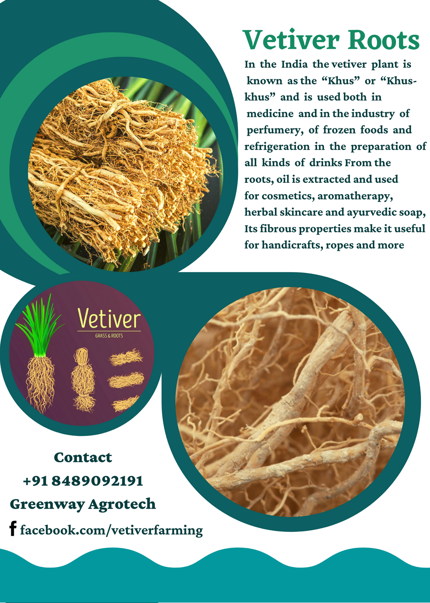 Natural Vetiver Root Grade: Organic