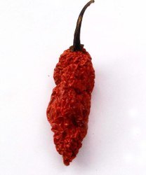 Natural Ghost Pepper Pods