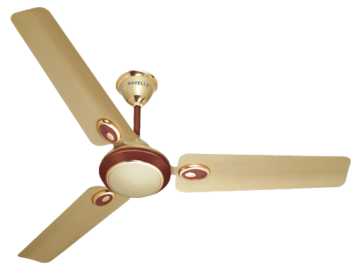 Ceiling Fan