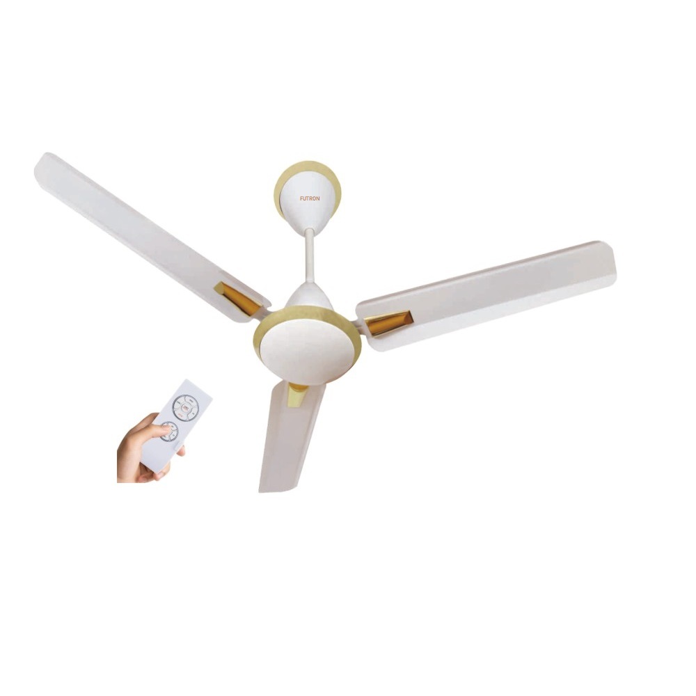 Remote Ceiling Fan
