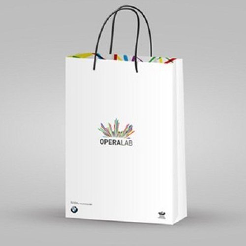 Paper Bag Printing Service - Paper Material, Custom Shapes , Any Color Design Printing for Effective Promotion