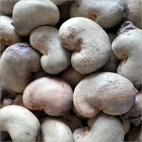Natural Cashew Nut - Organic, Raw | White Color, Naturally Shaped, Sustainably Cultivated