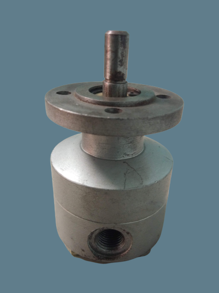 Flange Insert Type Rotary Pump Power: Electric Watt (W) Watt (W)