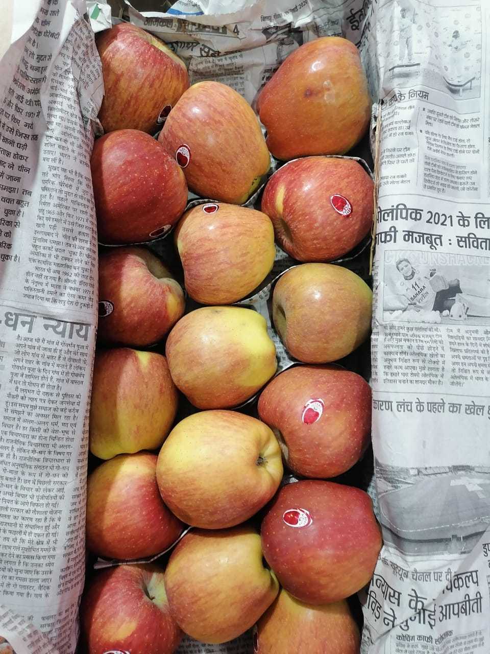 Fresh Quality Apples