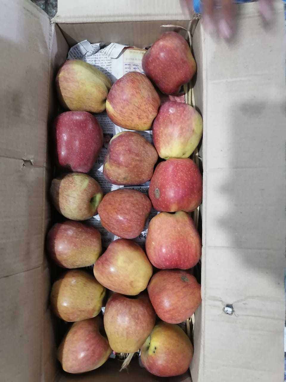 Fresh Quality Apples