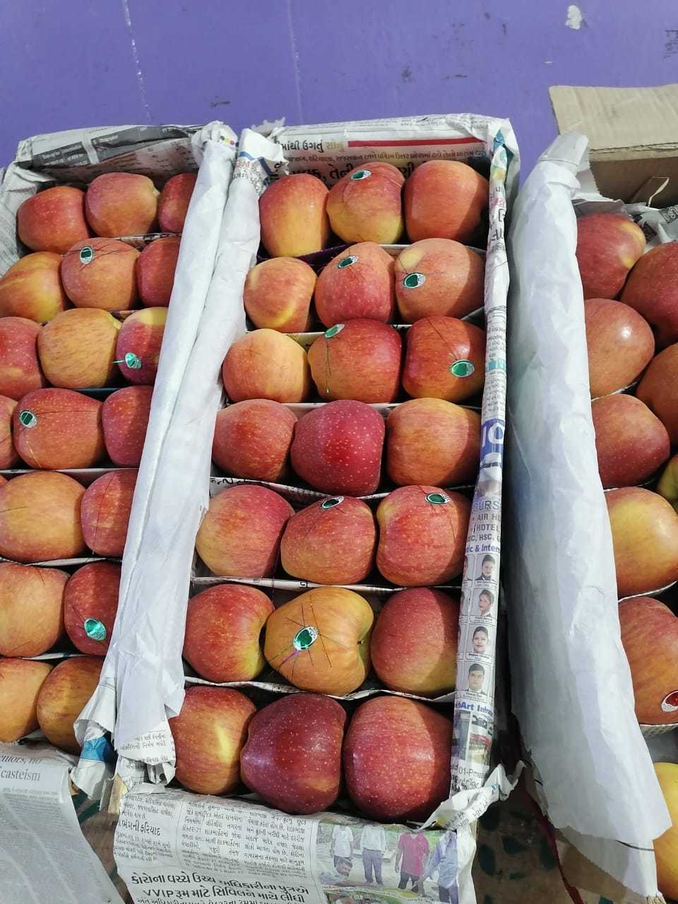 Fresh Quality Apples