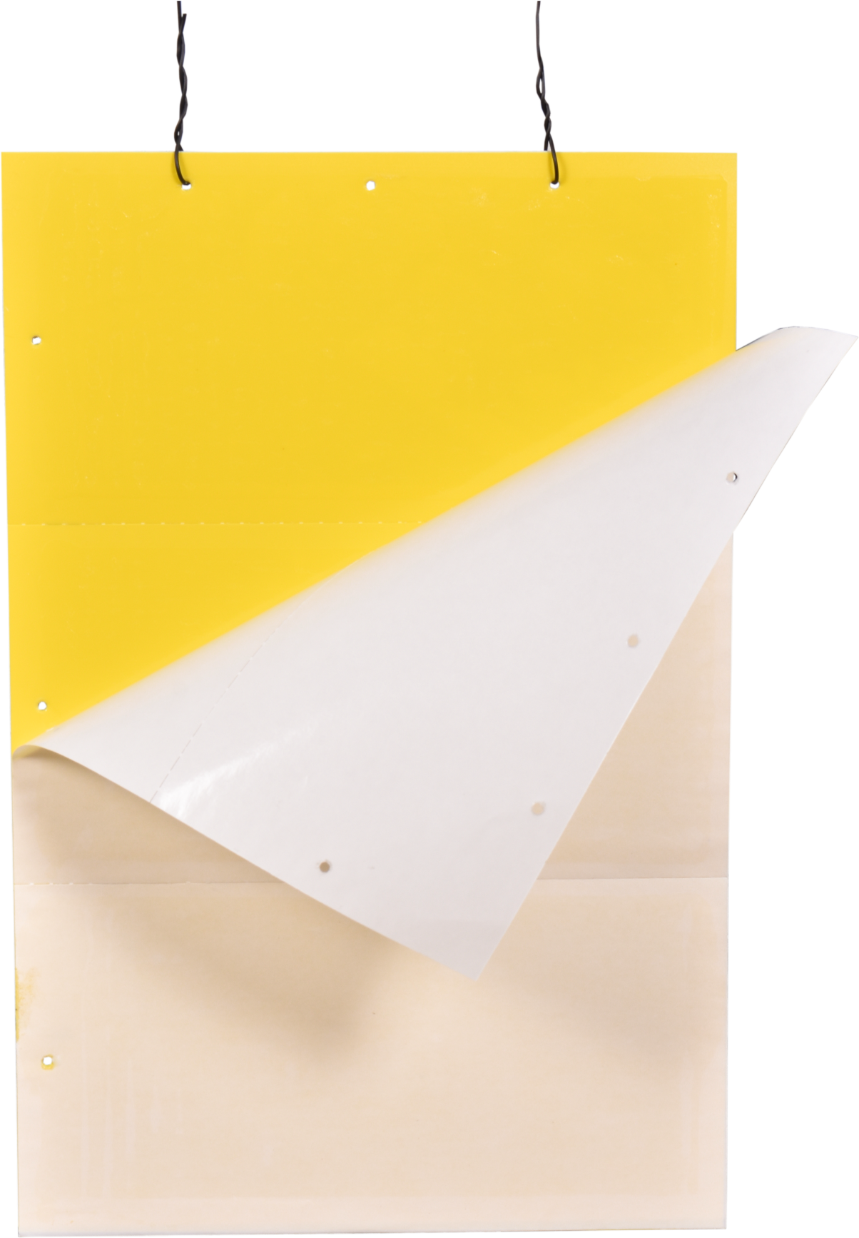 Premium Yellow Sticky Trap - Pvc Sticky, 11x28 Cm, 22x28 Cm, 22x33 Cm | Non-drying Glue, Dual-sided Adhesive, Coverage 15-20 Traps Per Acre