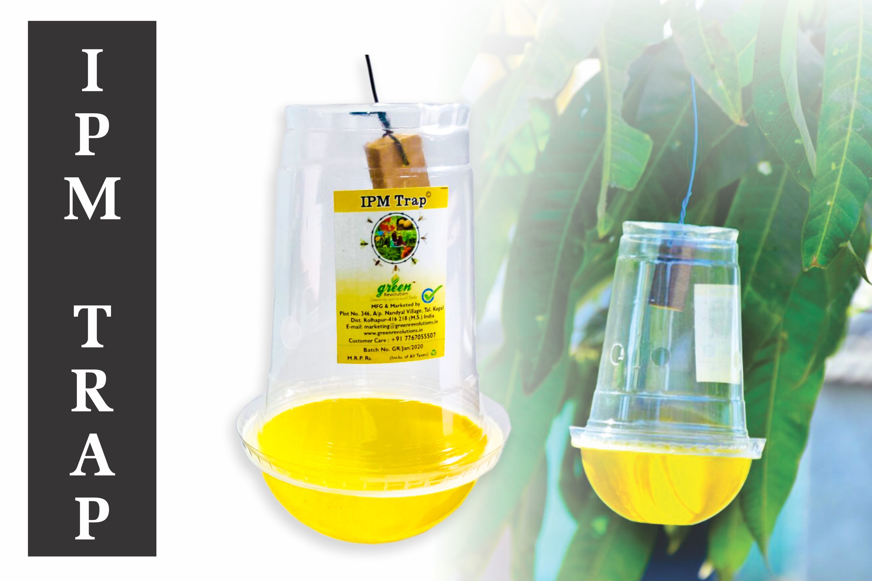 Ipm Fruit Fly Pheromone Trap - Easy Fruit Fly Trap Application: Agriculture