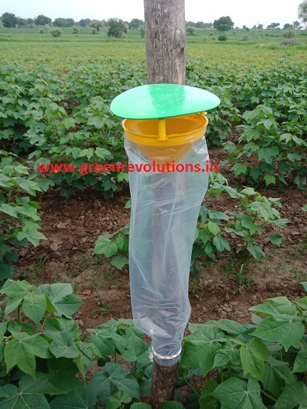 Funnel Pheromone Trap