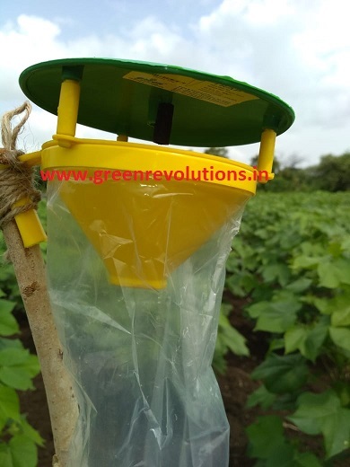 Funnel Pheromone Trap