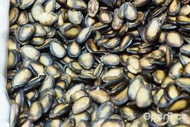 Black Natural Liquid Dried Watermelon Seeds