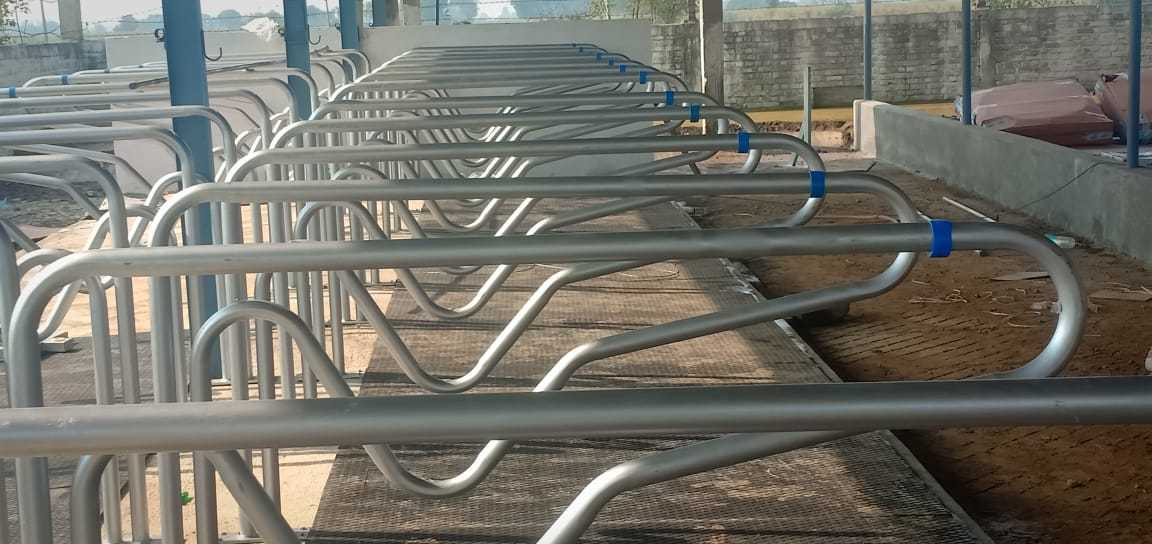 Silver Cow Cubicles