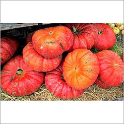 Natural Red Pumpkin