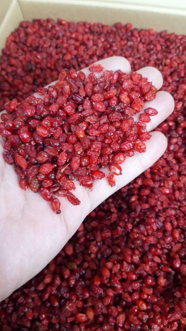 Fresh Barberry Grade: A