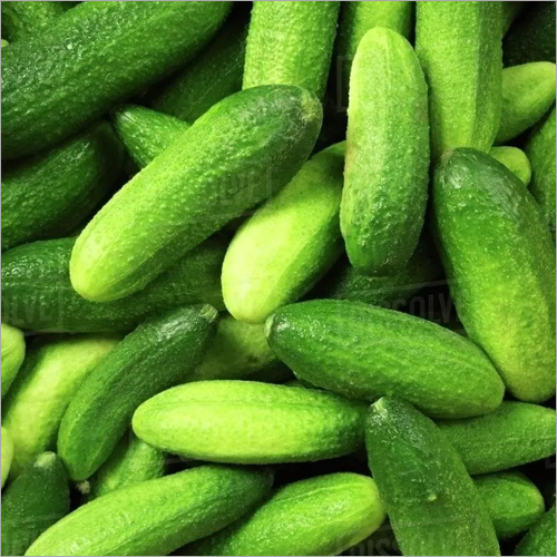 Fresh Cucumber - Organic, Fresh and Natural | Nutrient-Rich, Antioxidant-Packed, Skin-Enhancing Superfood